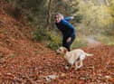Puppy training classes: learn how to train your dog with this online programme