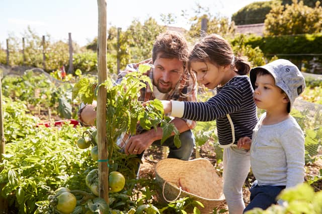 Essential Allotment Tools