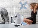 The best electric standing fans for cooling you down this summer