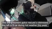 Photo: Nottinghamshire Police/SWNS)