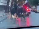 Screen grabs showing the bizarre moment three horses galloped through traffic - in the middle of London. 