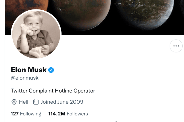 Elon Musk changed his Twitter bio amidst a hail of criticisms this week - seven days since taking over Twitter