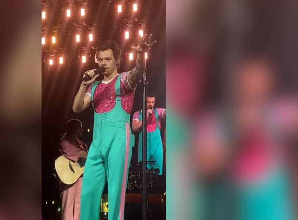 <p>Video footage shows Harry Styles asking the crowd to move back slowly to stop fans being crushed against the handrails.</p>