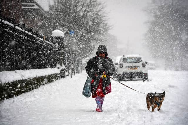 A woman walks a dog through the snow in Glasgow in 2021 