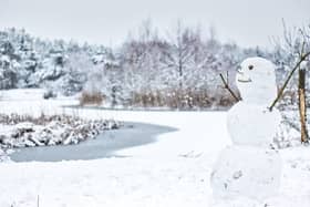 Bookies are in favour of a white Christmas this year