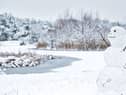 Bookies are in favour of a white Christmas this year