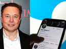 Elon Musk poll asks public 'Should I step down?' as CEO of Twitter saying he will abide by the results 