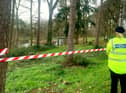 Oakwood Pond in Harlow.  