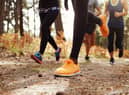 Best winter running shoes for women from On, Salomon, New Balance 