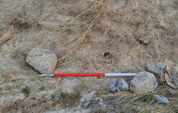 A human skull has been found during a beach clean on the Cornish coast. Photo: Cornwall Council.