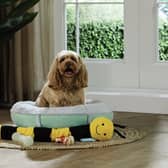 Aldi has launched an affordable pet range this month