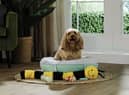 Aldi has launched an affordable pet range this month