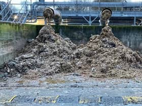 Severn Trent, has revealed a picture showing the extent of sewage misuse, the majority being flushed wet wipes at one of its rag skips