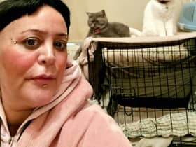 A woman claims she can only afford one meal a WEEK - as she spends most of her money feeding her cats. Yasemn Kaptan  / SWNS