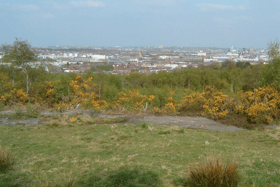 The poor animal was found dead by passers-by at a park in Wirral, Merseyside - Credit: GFA and Google Streetview