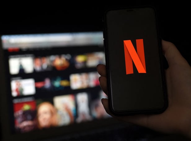 <p>New films and TV shows will land on Netflix this month</p>