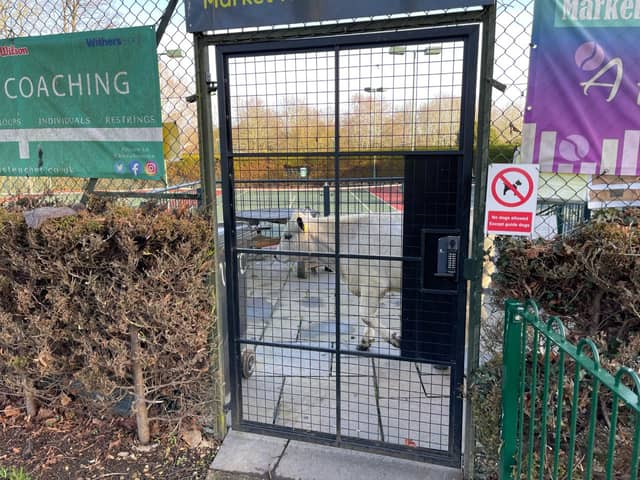 The cow spent more than 10 hours ‘behind bars’.