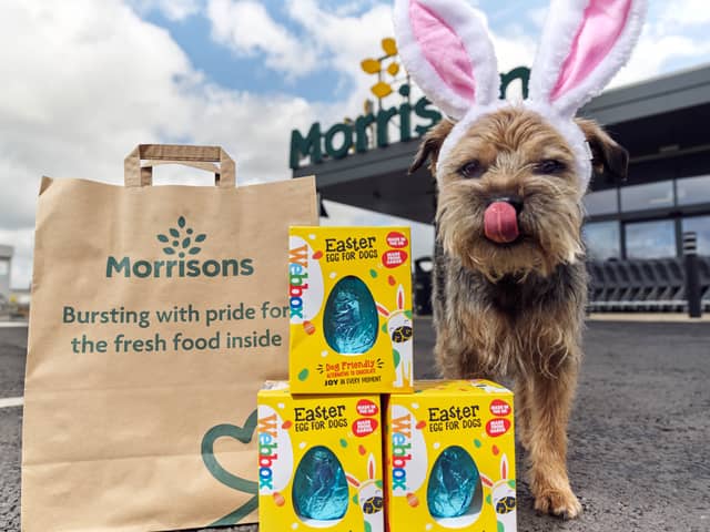 Morrison recently relesed their Easter pet range 
