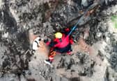 Video from Avon and Somerset Drone Team shows stranded dog's tail wagging with joy as fire crews abseil down to recuse him from a cliff face