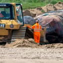 A large whale was found washing up on a British beach this week