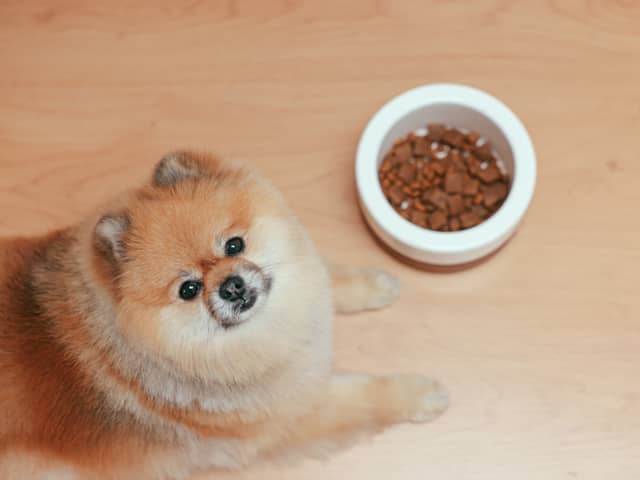 A high-end dog food brand has had two items recalled after sparking choking fears for pets 