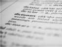 The Cambridge Dictionary has revealed its word of the year for 2021 (Shutterstock)