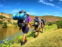 Plans would see children from different backgrounds participate in hiking and camping trips (Shutterstock)