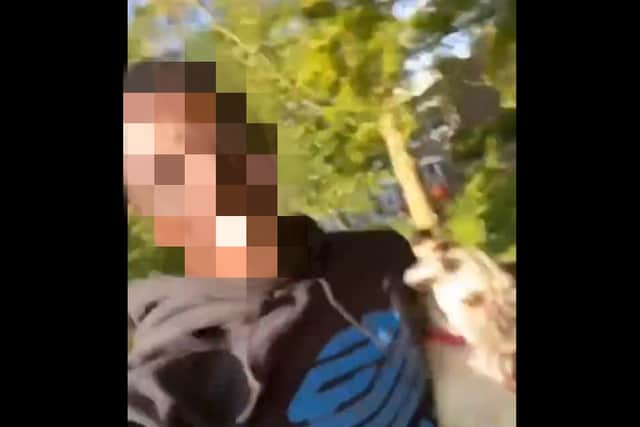 The Met Police said the teenager is currently being held in police custody over a series of prank videos on TikTok.