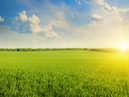 The Met Office has made it’s prediction on how long the warm weather will last