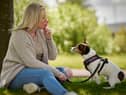 Top 10 scariest and friendliest dog breeds revealed 