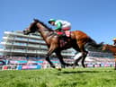 Epsom racecourse are on high alert for activists ahead of Derby Day