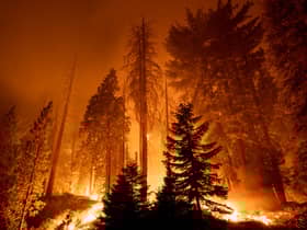 Gran Canaria is the latest holiday destination to be hit with wildfires