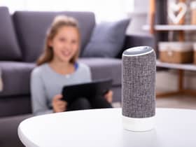 MPs are warning the Government to do more to tackle the increase in smart devices being used in domestic abuse cases
