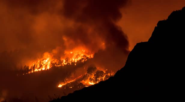 Wildfire rages in a forested area on the Canary island of Tenerife