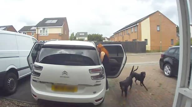 CCTV capturing the moment two dogs enter a family home in Chelmsley Wood, Birmingham, and savage two cats to death.