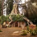 Shrek’s Swamp AirBnB: Rare opportunity for ogre enthusiasts to rent DreamWorks shack this Halloween