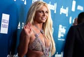 Britney Spears, pictured, has doting fans who battled to free her from a conservatorship. Picture: AFP via Getty Images