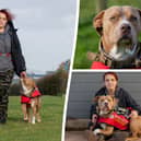 Josie Shanaham fears that her XL Bully assistance dog, Mars, will be taken from her under new rules for the dog breed coming into place next year. (Credit: SWNS)