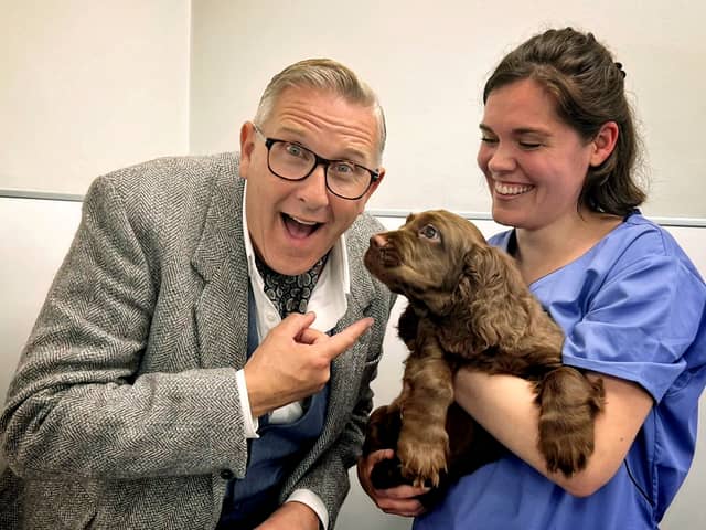 Sussex spaniel Elton, who has recovered from paralysis, with veterinary physiotherapist Holly Finelli and master dog trainer Graeme Hall