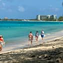 UK holidaymakers have been issued a travel warning for the Caribbean, parts of Africa, Central and South America as yellow fever is on the rise. (Photo: AFP via Getty Images)