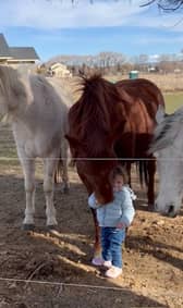Sixteen-month-old has a heart-warming interaction with horses.