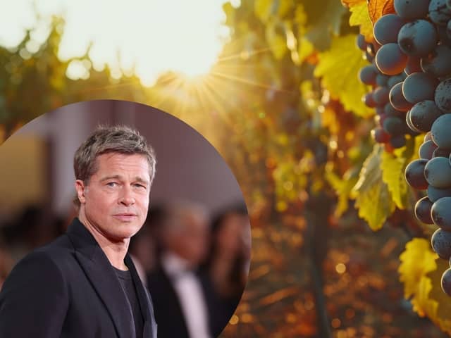 Celebrity vineyards that you can visit around the world - from Brad Pitt to Sting (Photo: Adobe Stock / Getty Images)
