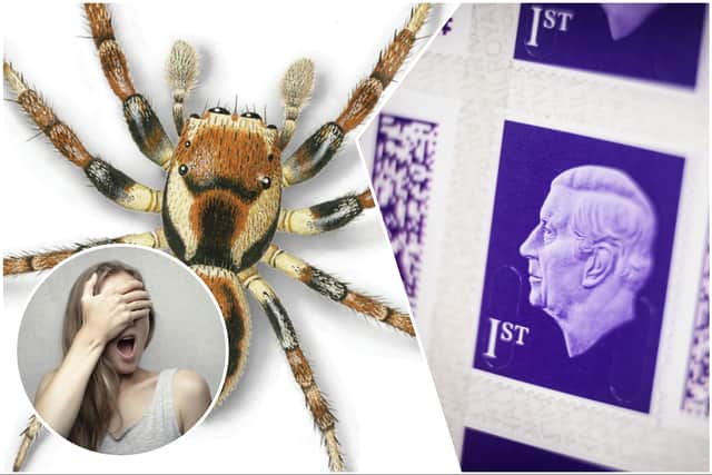 The illustrations of peaceful spiders cannot hurt you (Images: Royal Mail/Getty Images/Pexels)