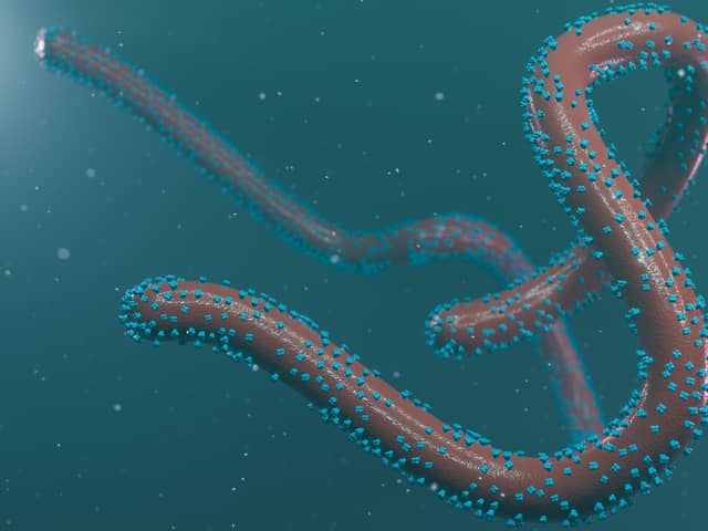 Rwanda declared an outbreak of the Marburg virus on September 27.