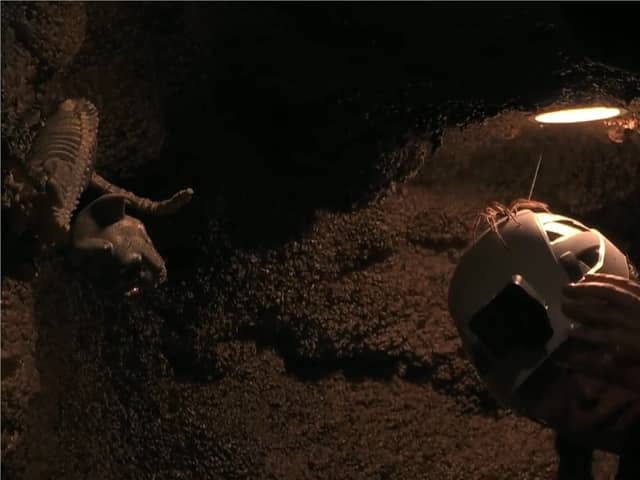 A spider crawls on GK Barry's helmet during the 'Vile Volcano' Bushtucker Trial.