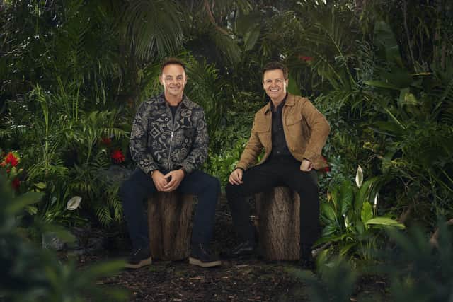 Ant and Dec host I'm a Celeb on ITV. Photo: ITV