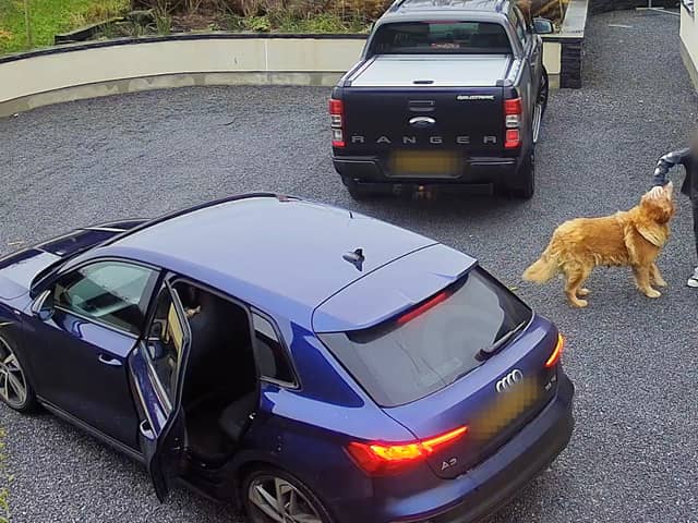Hilarity ensues as pooch steals turkey crown from car in Armagh, Northern Ireland, leading to a game of chase which ended in woman leaving empty handed as crafty canine refused to give up the bird. 