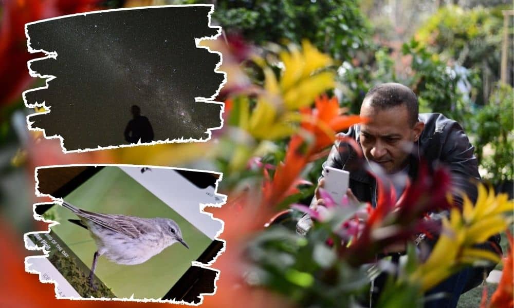 There are apps for IDing plants, birdsong, and even star constellations