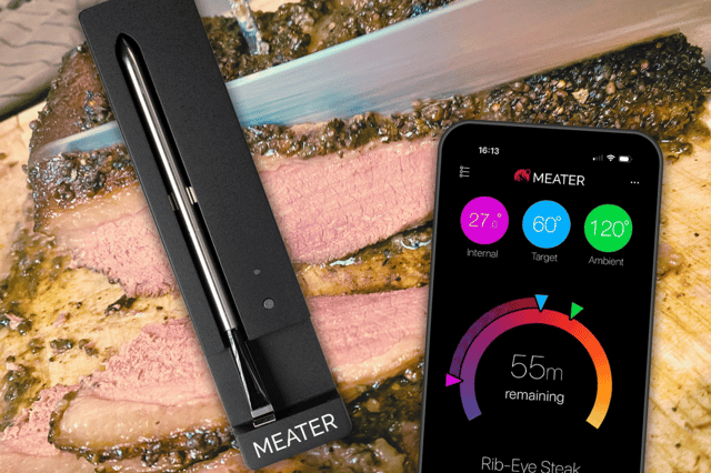 The MEATER SE wireless meat probe