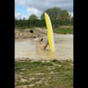 Polar bears go wild and take to the water...in a kayak